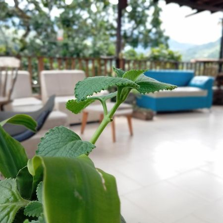Hostal Los Wichos Minca Ngoại thất bức ảnh