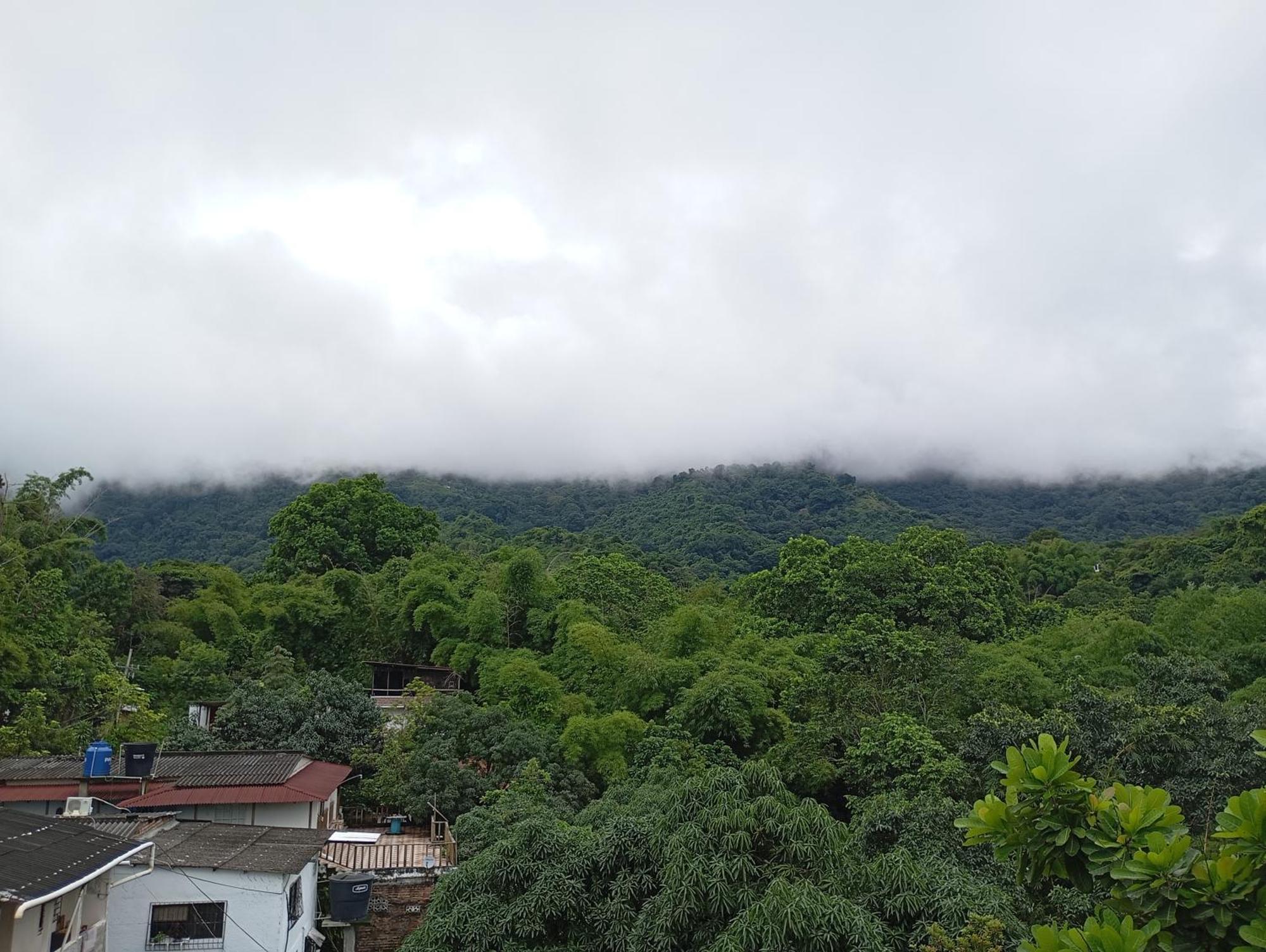 Hostal Los Wichos Minca Ngoại thất bức ảnh