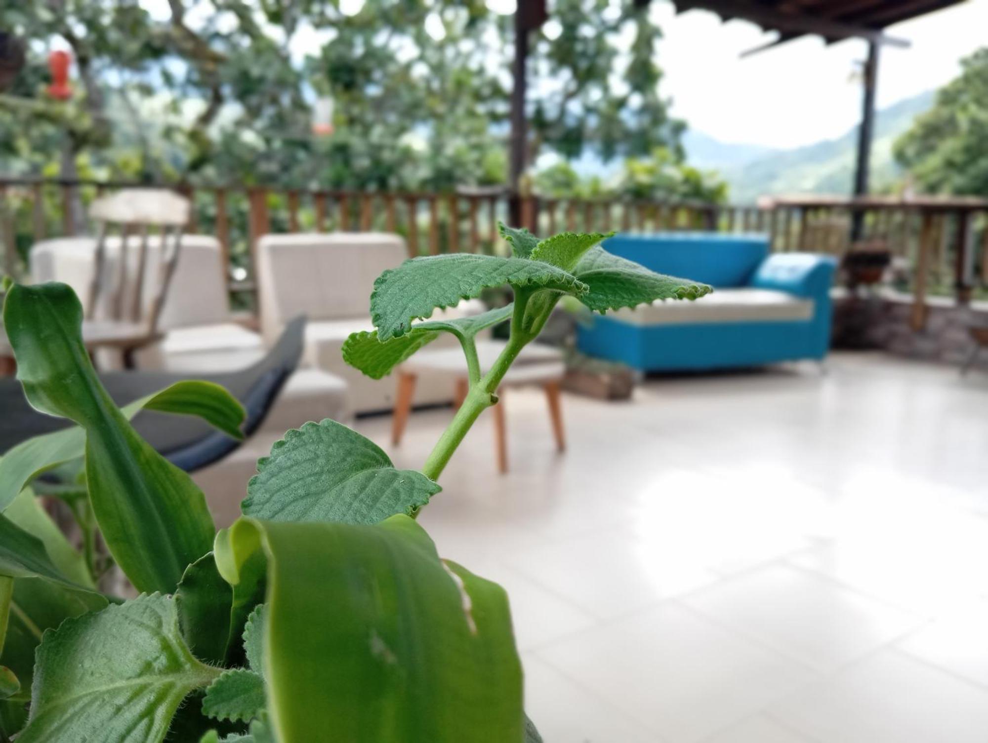 Hostal Los Wichos Minca Ngoại thất bức ảnh