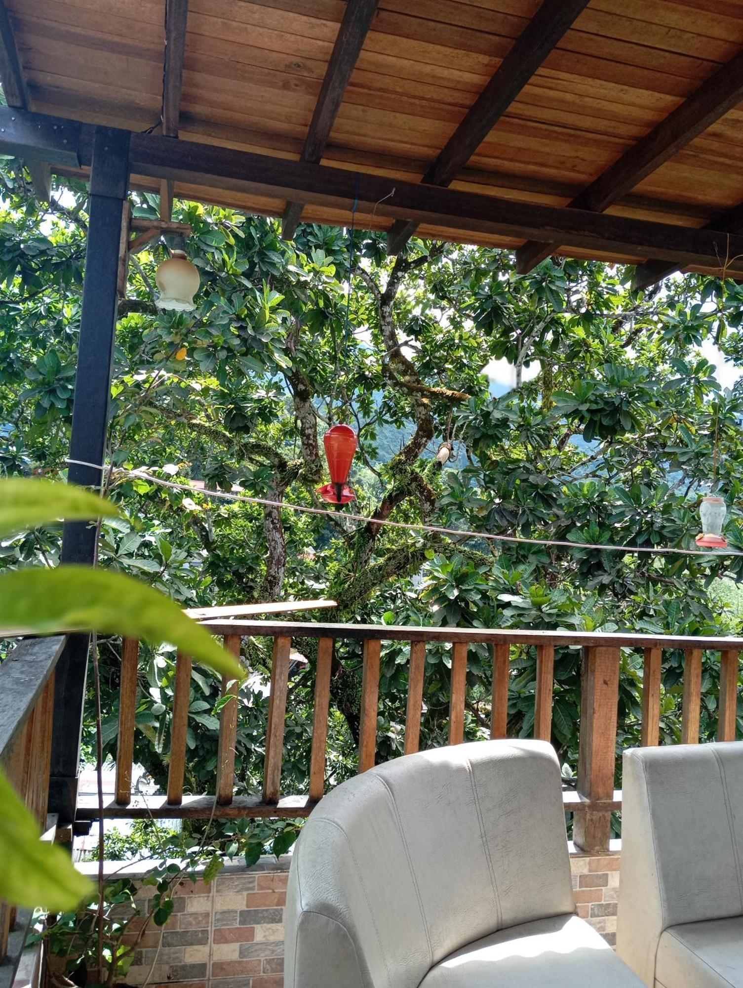 Hostal Los Wichos Minca Ngoại thất bức ảnh